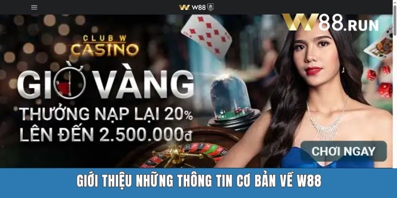Giới thiệu những thông tin cơ bản về W88