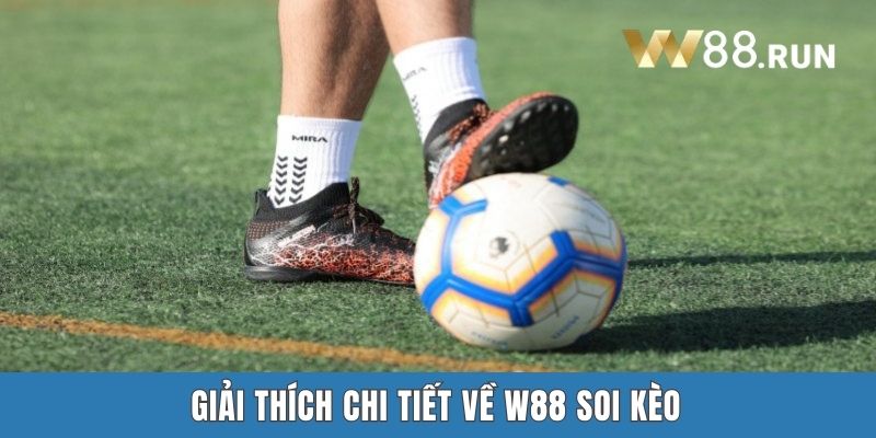 Giải thích chi tiết về W88 soi kèo